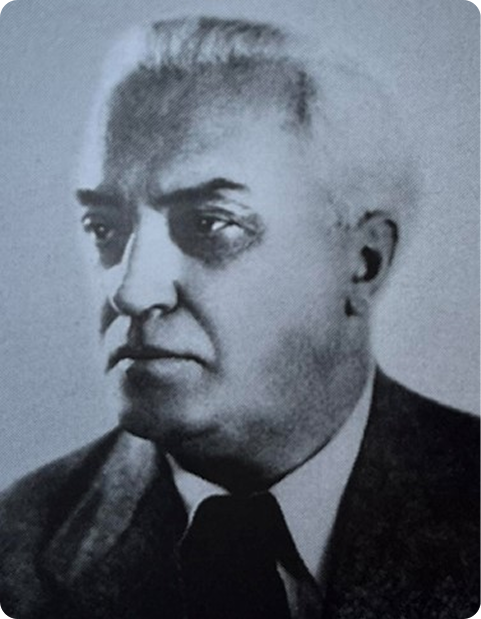 Prof. dr Ljubiša Vulović